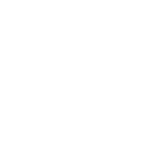 Caballo Aventura