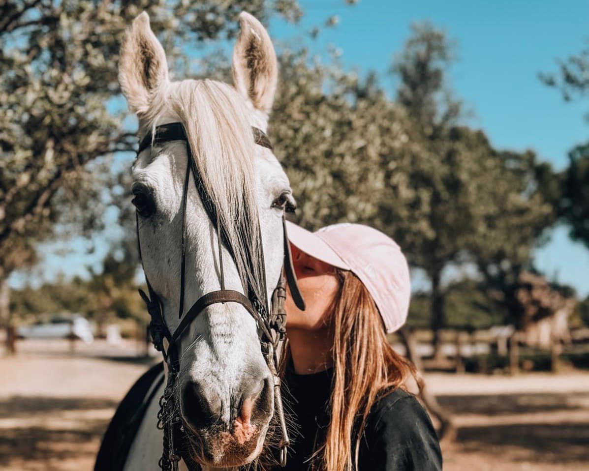 Paisaje de montaña con caballo y jinete